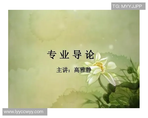 姚明专属bg的魅力与影响力探讨及其在篮球文化中的重要地位