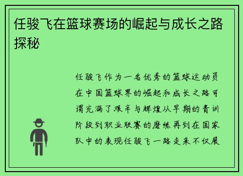 任骏飞在篮球赛场的崛起与成长之路探秘