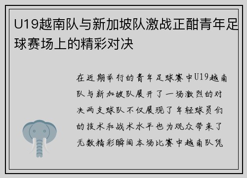 U19越南队与新加坡队激战正酣青年足球赛场上的精彩对决