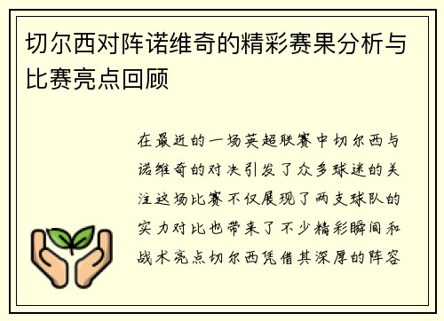 切尔西对阵诺维奇的精彩赛果分析与比赛亮点回顾