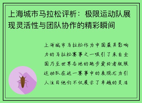 上海城市马拉松评析：极限运动队展现灵活性与团队协作的精彩瞬间