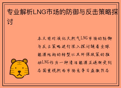专业解析LNG市场的防御与反击策略探讨