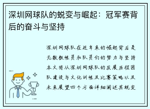 深圳网球队的蜕变与崛起：冠军赛背后的奋斗与坚持